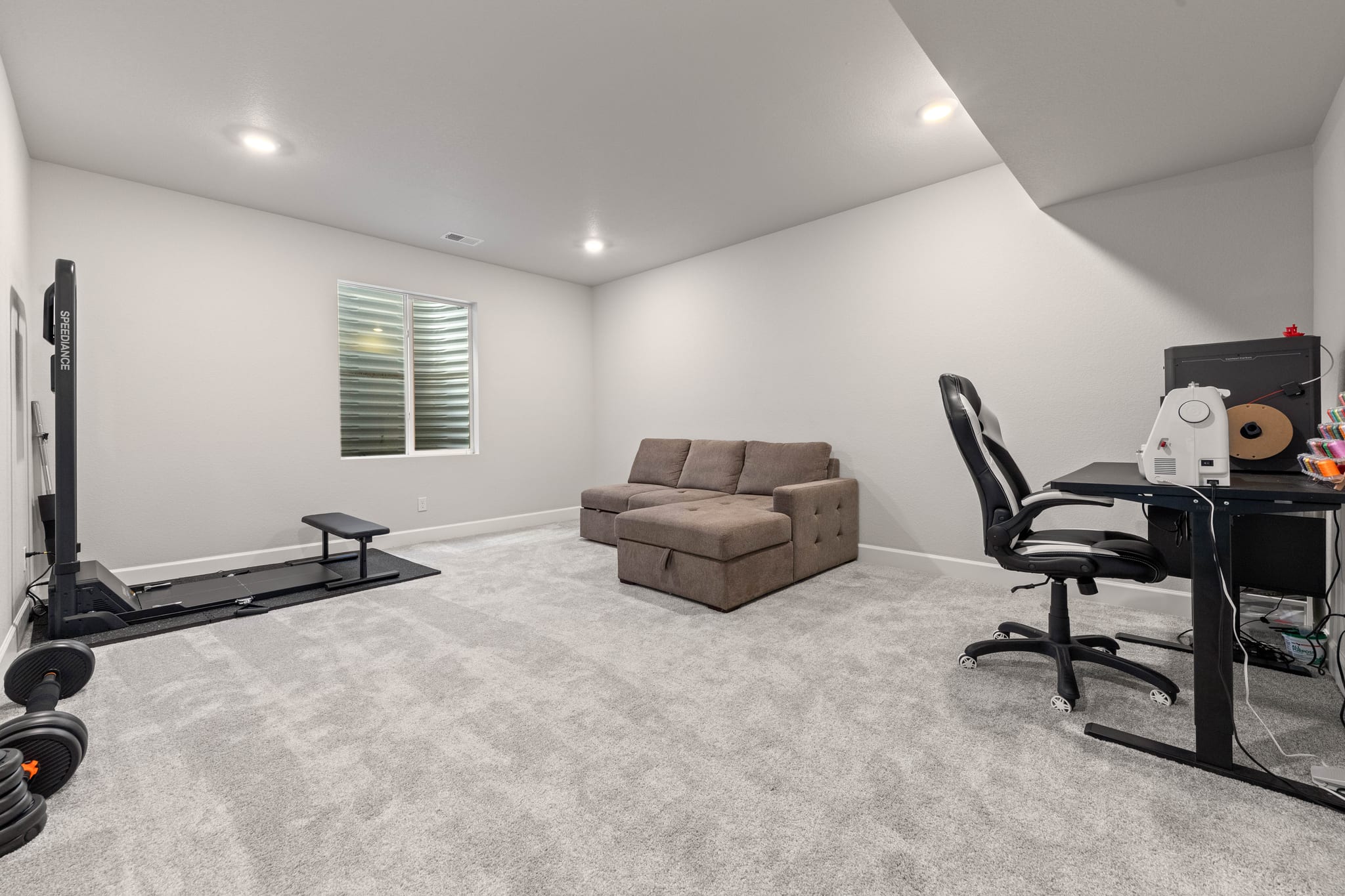 Finished basement recreation and flex room
